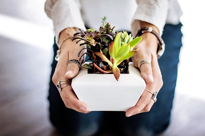 Recycled Planters